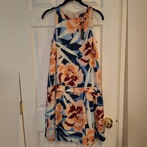 NWT Paris Sunday Sz XS Floral Drop Waist Shift Dress Lined Lightweight